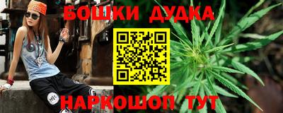 сатива Кудымкар