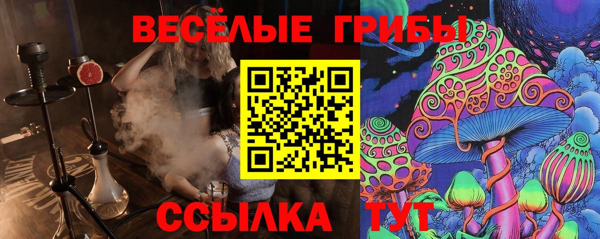 Галлюциногенные грибы ЛСД  Вход с VPN  Псилоцибиновые грибы Psilocybe  Ишим 
